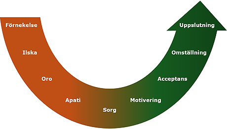 Bilden visar en b&ouml;jd pil som b&ouml;rjar uppe till v&auml;nster, &auml;r l&auml;gst i mitten och pekar upp till h&ouml;ger. Pilen &auml;r fylld med fasernas ben&auml;mningar. 